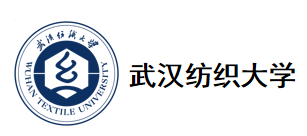 武汉纺织大学.png